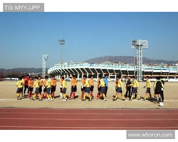 北京街舞队现状深度解析与未来发展趋势探讨