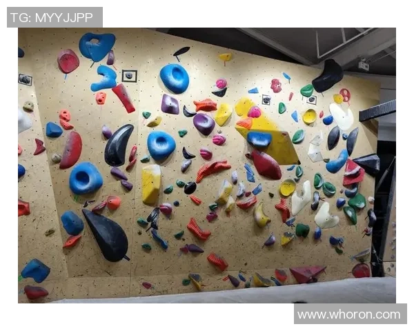 攀岩深度探索：揭秘上海攀岩队的训练与战术策略